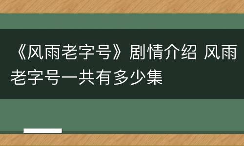 《风雨老字号》剧情介绍 风雨老字号一共有多少集
