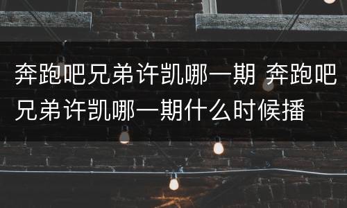 奔跑吧兄弟许凯哪一期 奔跑吧兄弟许凯哪一期什么时候播