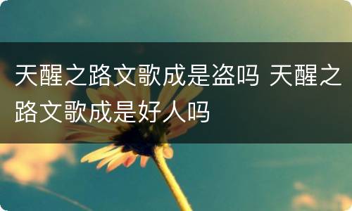 天醒之路文歌成是盗吗 天醒之路文歌成是好人吗
