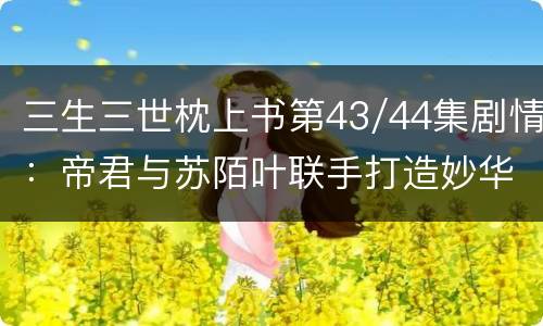 三生三世枕上书第43/44集剧情：帝君与苏陌叶联手打造妙华镜