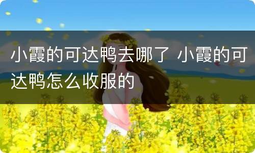 小霞的可达鸭去哪了 小霞的可达鸭怎么收服的