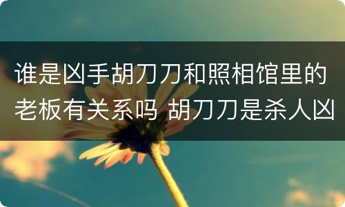 谁是凶手胡刀刀和照相馆里的老板有关系吗 胡刀刀是杀人凶手吗