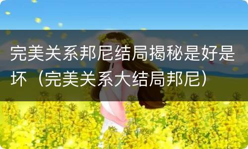 完美关系邦尼结局揭秘是好是坏（完美关系大结局邦尼）
