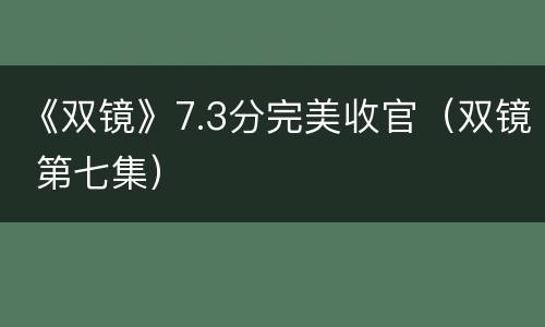 《双镜》7.3分完美收官（双镜 第七集）