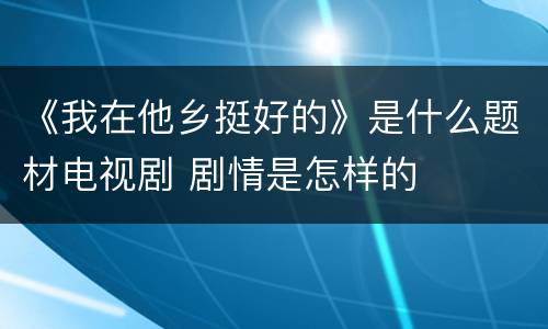 《我在他乡挺好的》是什么题材电视剧 剧情是怎样的
