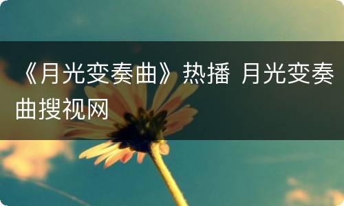 《月光变奏曲》热播 月光变奏曲搜视网