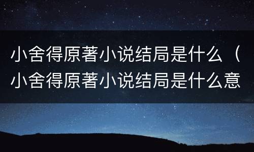 小舍得原著小说结局是什么（小舍得原著小说结局是什么意思）
