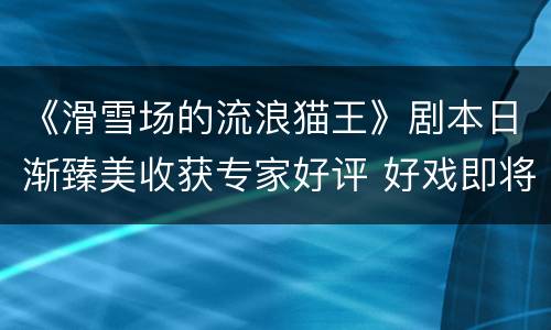 《滑雪场的流浪猫王》剧本日渐臻美收获专家好评 好戏即将于5月登场