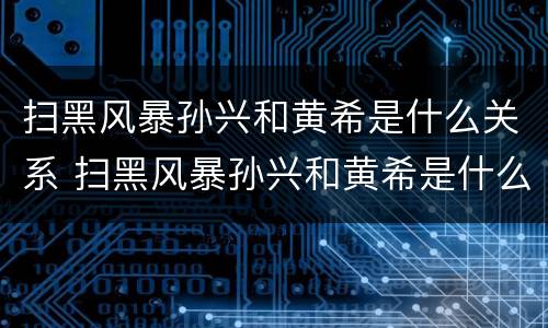扫黑风暴孙兴和黄希是什么关系 扫黑风暴孙兴和黄希是什么关系