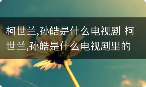 柯世兰,孙皓是什么电视剧 柯世兰,孙皓是什么电视剧里的