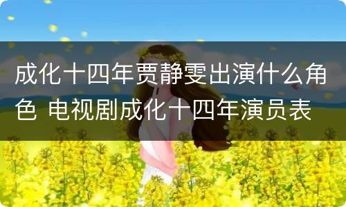 成化十四年贾静雯出演什么角色 电视剧成化十四年演员表