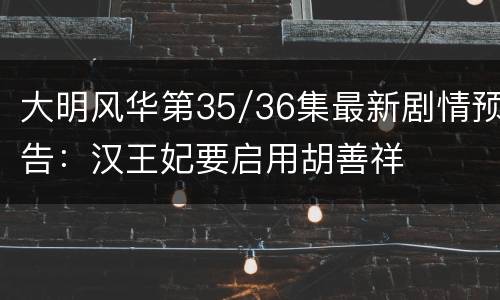 大明风华第35/36集最新剧情预告：汉王妃要启用胡善祥