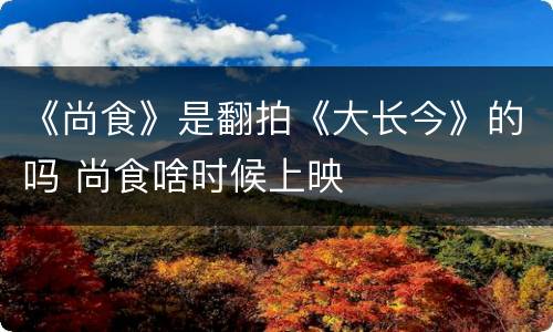 《尚食》是翻拍《大长今》的吗 尚食啥时候上映