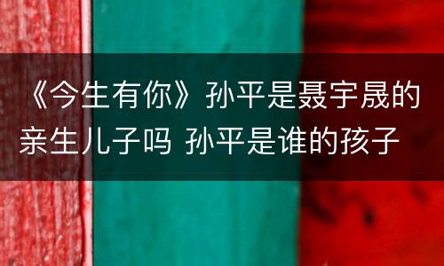 《今生有你》孙平是聂宇晟的亲生儿子吗 孙平是谁的孩子