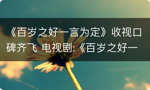 《百岁之好一言为定》收视口碑齐飞 电视剧:《百岁之好一言为定 》
