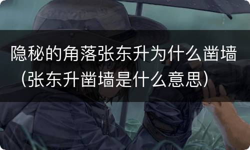 隐秘的角落张东升为什么凿墙（张东升凿墙是什么意思）