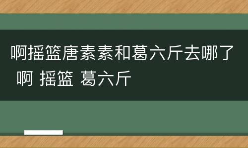 啊摇篮唐素素和葛六斤去哪了 啊 摇篮 葛六斤