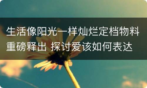 生活像阳光一样灿烂定档物料重磅释出 探讨爱该如何表达