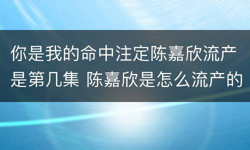 你是我的命中注定陈嘉欣流产是第几集 陈嘉欣是怎么流产的