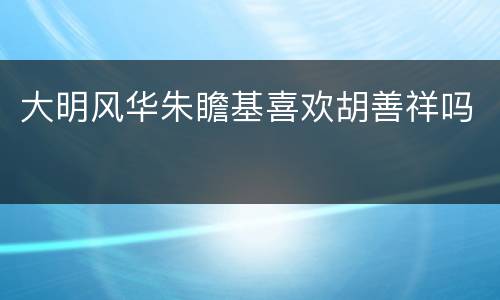 大明风华朱瞻基喜欢胡善祥吗
