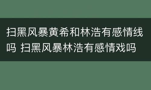 扫黑风暴黄希和林浩有感情线吗 扫黑风暴林浩有感情戏吗