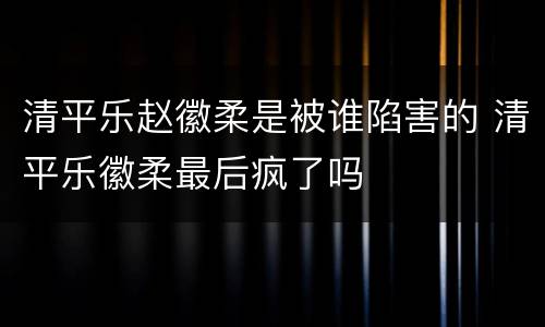 清平乐赵徽柔是被谁陷害的 清平乐徽柔最后疯了吗