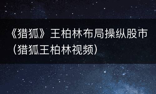 《猎狐》王柏林布局操纵股市（猎狐王柏林视频）