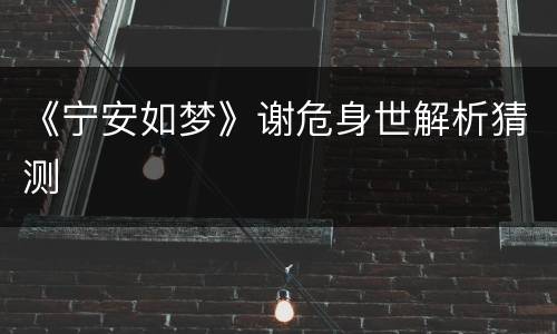 《宁安如梦》谢危身世解析猜测