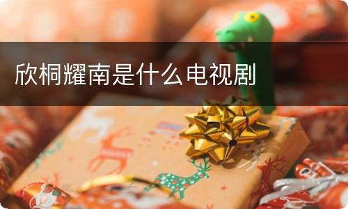 欣桐耀南是什么电视剧