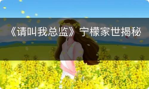 《请叫我总监》宁檬家世揭秘