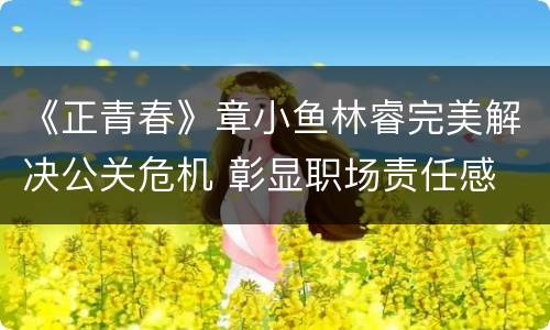 《正青春》章小鱼林睿完美解决公关危机 彰显职场责任感