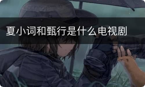 夏小词和甄行是什么电视剧