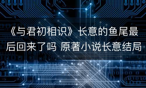 《与君初相识》长意的鱼尾最后回来了吗 原著小说长意结局好吗