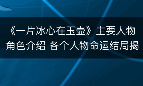 《一片冰心在玉壶》主要人物角色介绍 各个人物命运结局揭秘