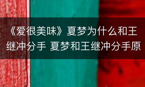 《爱很美味》夏梦为什么和王继冲分手 夏梦和王继冲分手原因