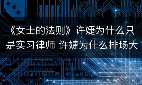 《女士的法则》许婕为什么只是实习律师 许婕为什么排场大