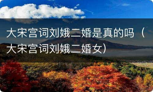 大宋宫词刘娥二婚是真的吗（大宋宫词刘娥二婚女）