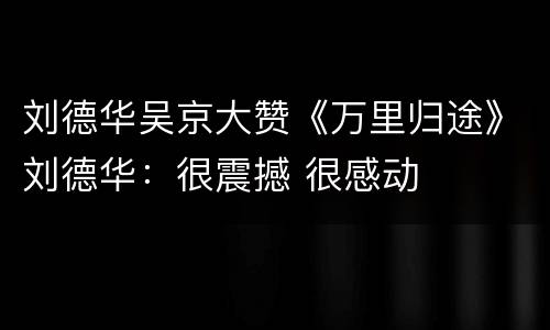 刘德华吴京大赞《万里归途》刘德华：很震撼 很感动