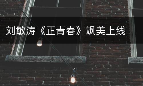 刘敏涛《正青春》飒美上线
