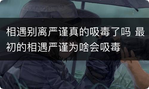 相遇别离严谨真的吸毒了吗 最初的相遇严谨为啥会吸毒
