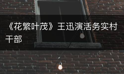 《花繁叶茂》王迅演活务实村干部