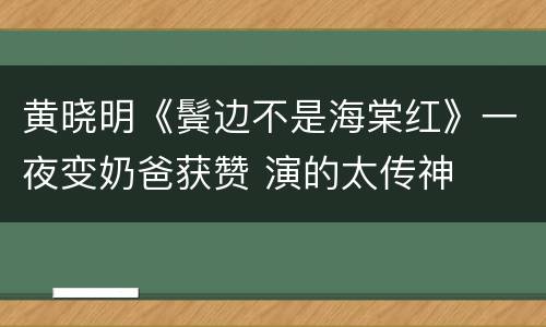 黄晓明《鬓边不是海棠红》一夜变奶爸获赞 演的太传神