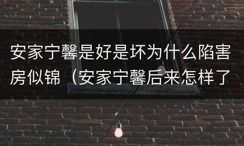 安家宁馨是好是坏为什么陷害房似锦（安家宁馨后来怎样了）