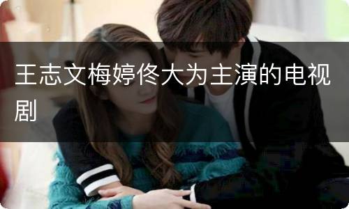 王志文梅婷佟大为主演的电视剧