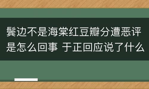 鬓边不是海棠红豆瓣分遭恶评是怎么回事 于正回应说了什么