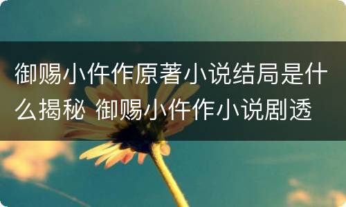 御赐小仵作原著小说结局是什么揭秘 御赐小仵作小说剧透