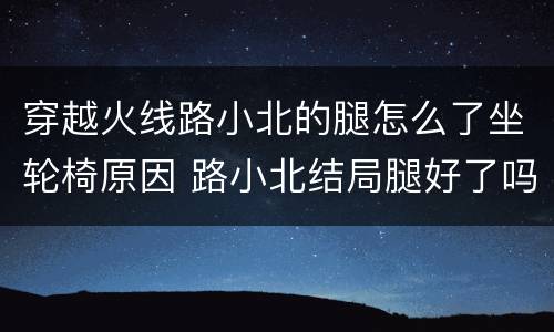 穿越火线路小北的腿怎么了坐轮椅原因 路小北结局腿好了吗