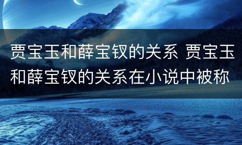 贾宝玉和薛宝钗的关系 贾宝玉和薛宝钗的关系在小说中被称为?
