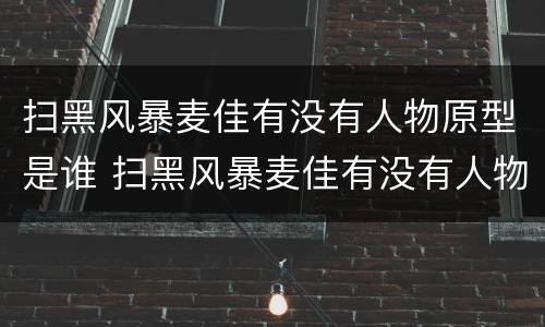 扫黑风暴麦佳有没有人物原型是谁 扫黑风暴麦佳有没有人物原型是谁扮演的