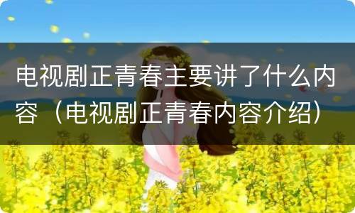 电视剧正青春主要讲了什么内容（电视剧正青春内容介绍）